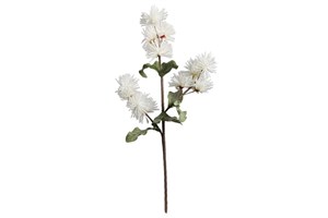 White Flower IX 215