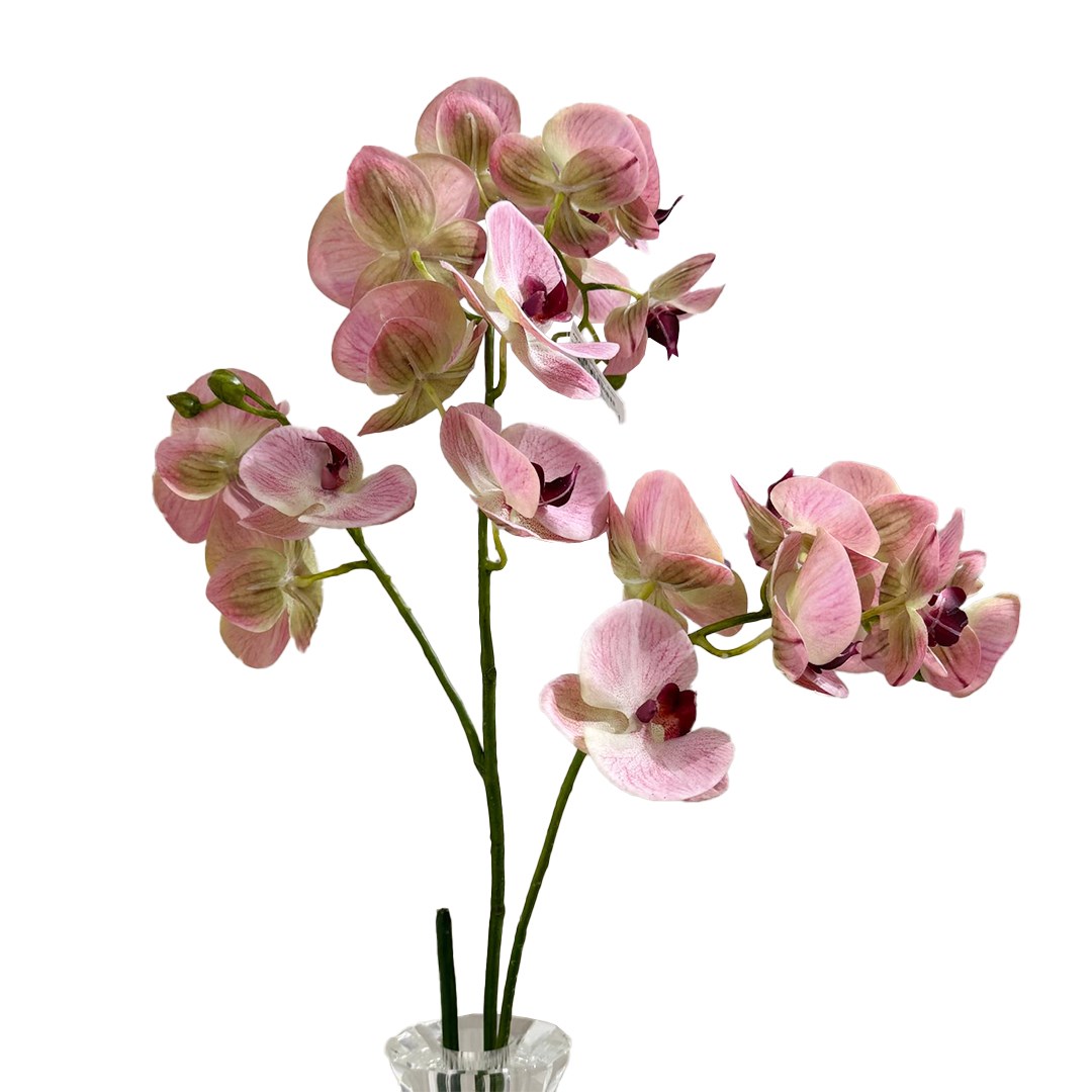 Phalaenopsis Orchid 90 cm 25-0021 Pembe