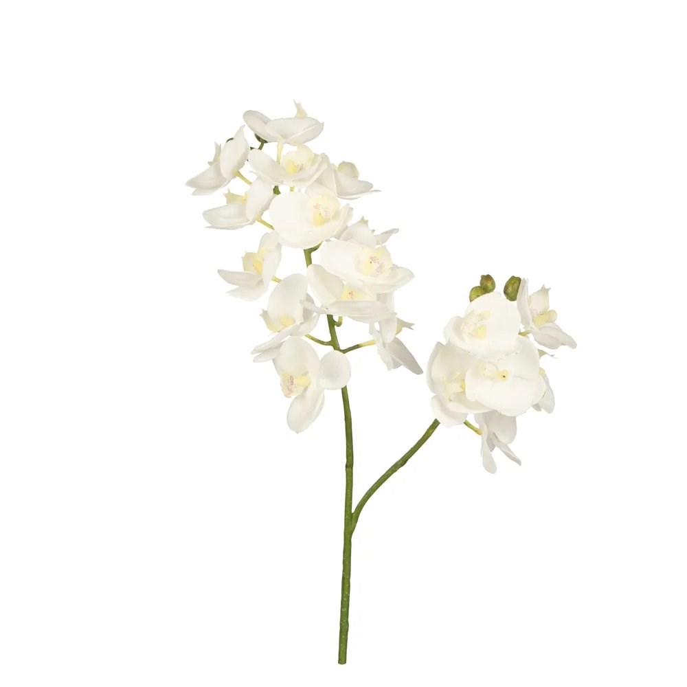 Phalaenopsis Orchid 65 cm 25-0055 Beyaz